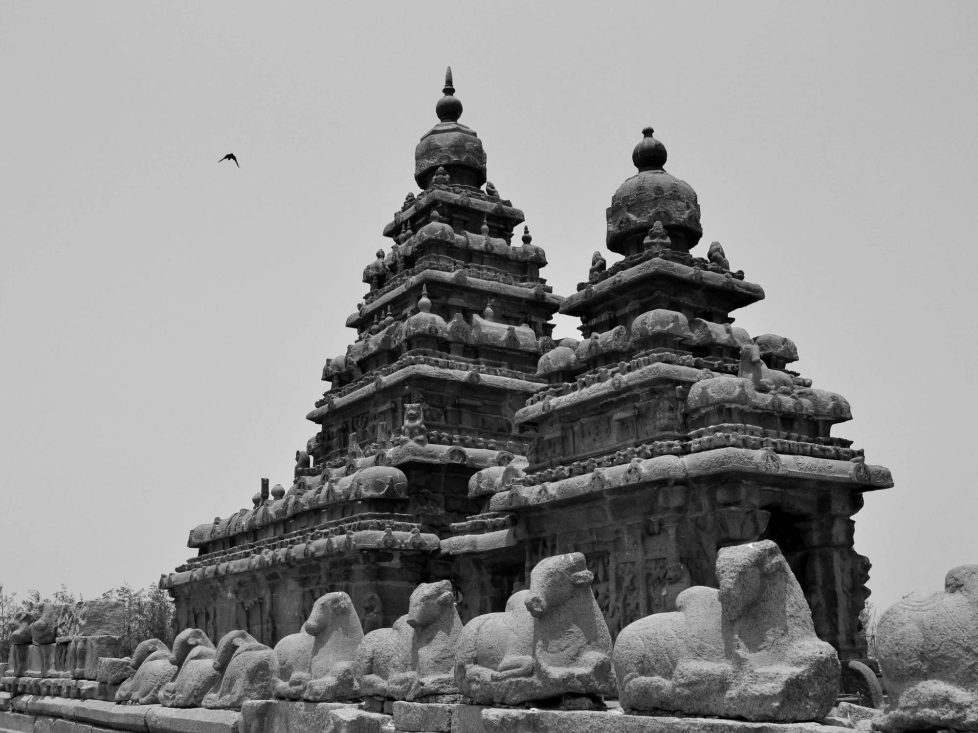 Sea Breeze Beach Resort Mahabalipuram Exterior foto